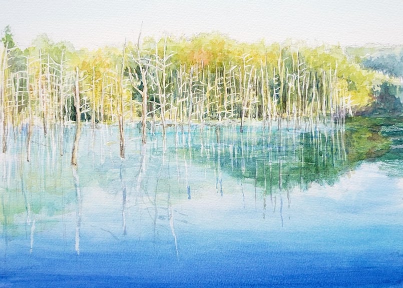 204c 北海道・美瑛の青い池 | 下絵工房カルトーネ
