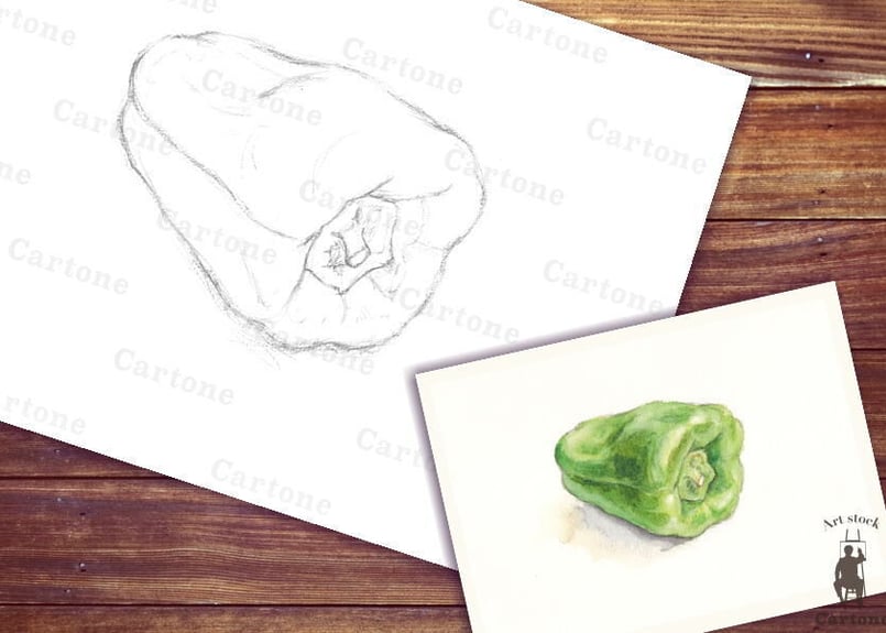 068b ピーマン （着彩見本付き） | 下絵工房カルトーネ