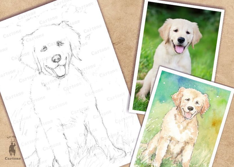 002b ラブラドールレトリバーの子犬（着彩見本付き） | 下絵工房カルトーネ