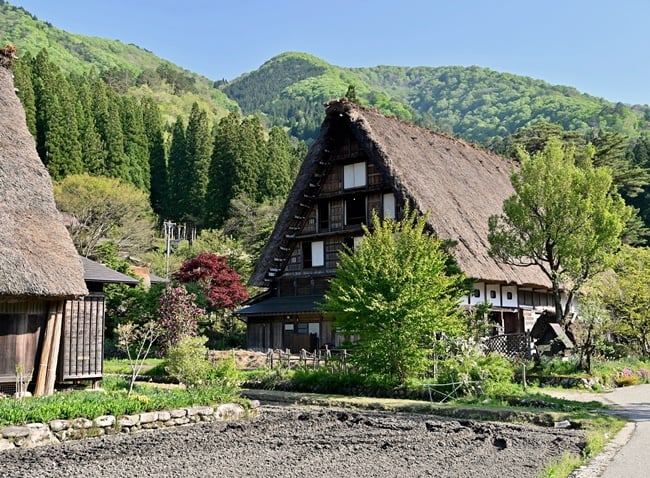 201a 夏の白川郷 | 下絵工房カルトーネ