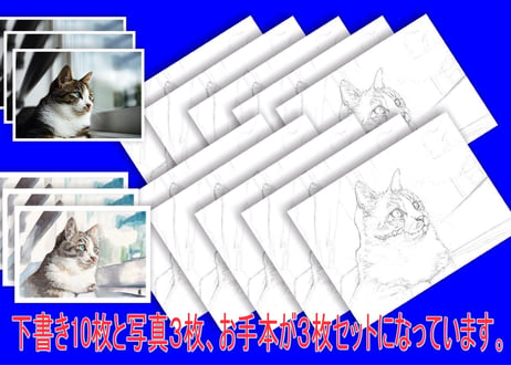 団体様向け１０枚セット