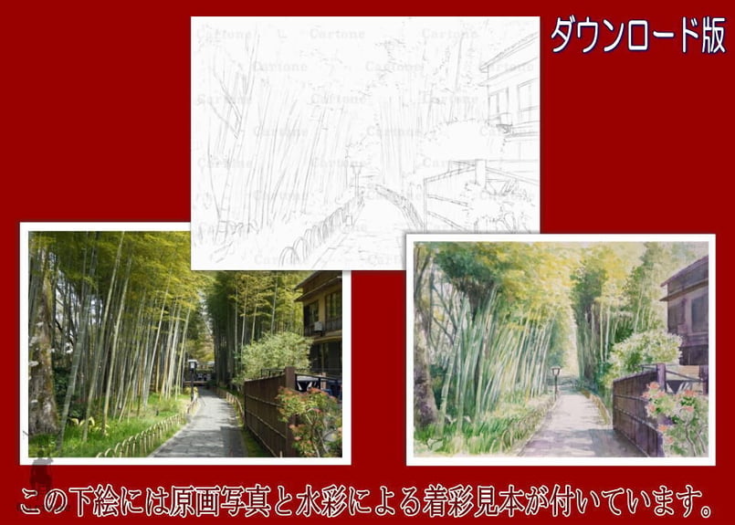 127d 竹林の小径 (着彩見本付き） | 下絵工房カルトーネ