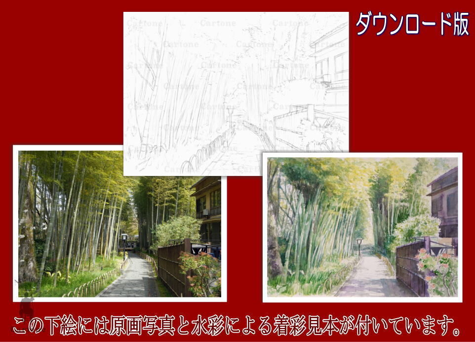 127d 竹林の小径 (着彩見本付き） | 下絵工房カルトーネ