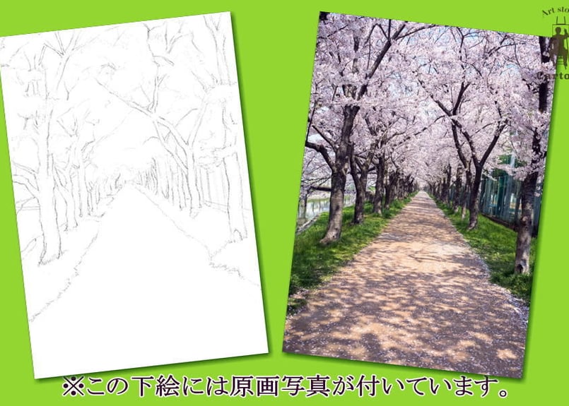 028a 桜並木 | 下絵工房カルトーネ