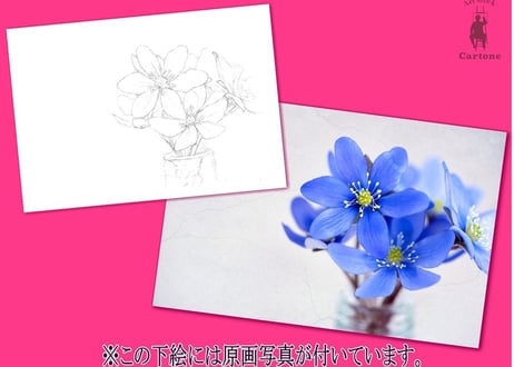 021a 青い花