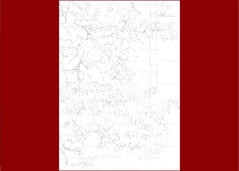 205a 路地に咲く花 | 下絵工房カルトーネ