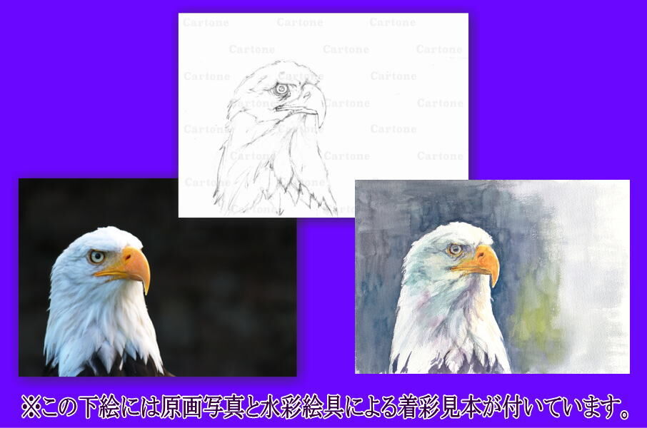 鷲のスケッチ A4サイズ 鷲のスケッチ A4サイズ 鷲のスケッチ A4サイズ