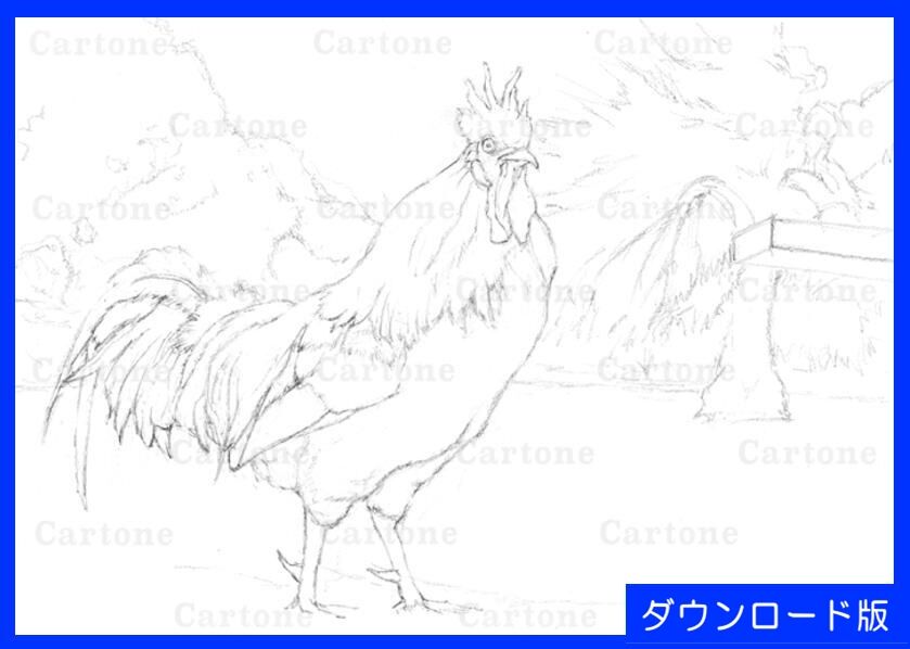 059d ニワトリ （着彩見本付き） | 下絵工房カルトーネ