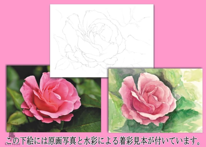 143b ピンクのバラ (着彩見本付き) | 下絵工房カルトーネ