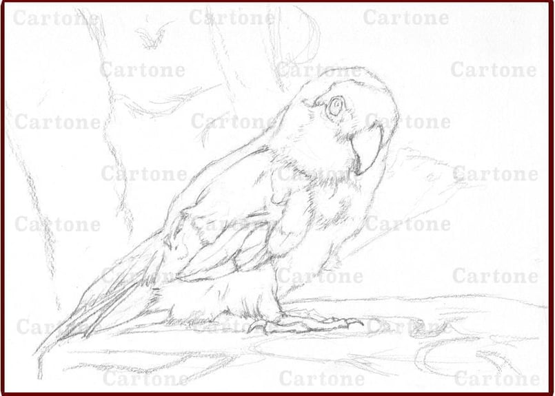 カラフルなインコの絵皿27センチ インコ・鳥 小皿・豆皿 4点セット（80羽の中からお好きな鳥