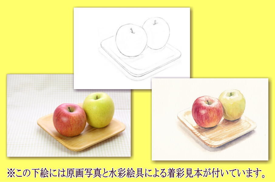 あおりんご2ページ★2+3 095d 赤リンゴと青りんご （着彩見本付き） | 下絵工房カルトーネ