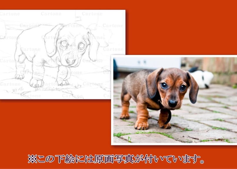 086c ダックスフンドの子犬 | 下絵工房カルトーネ