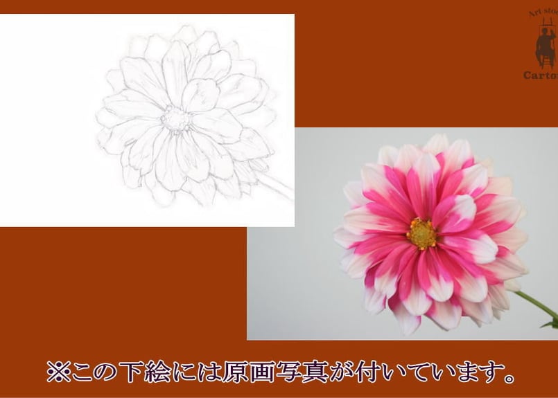 024a ピンクの花 | 下絵工房カルトーネ