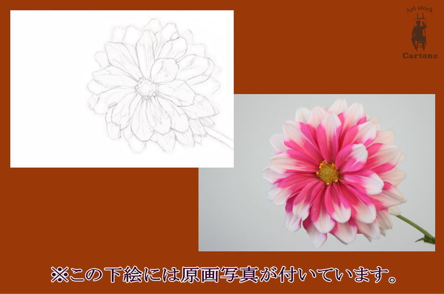 油彩画 花 ピンク ダークグリーン 牡丹ピンクの花の水彩画 | Premiumベクトル素材