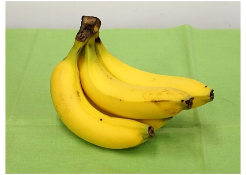 043b バナナ（着彩見本付き） | 下絵工房カルトーネ