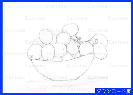 072d  マスカット （着彩見本付き）