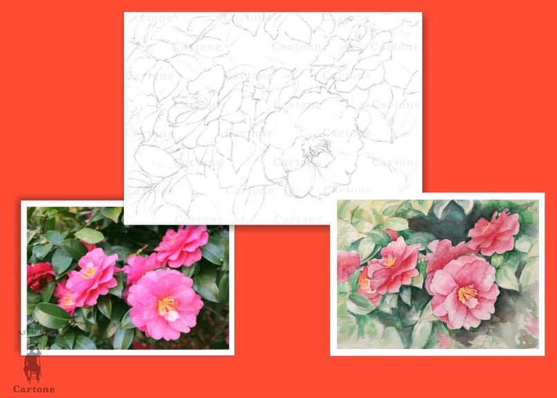 151b 椿の花 （着彩見本付き） | 下絵工房カルトーネ