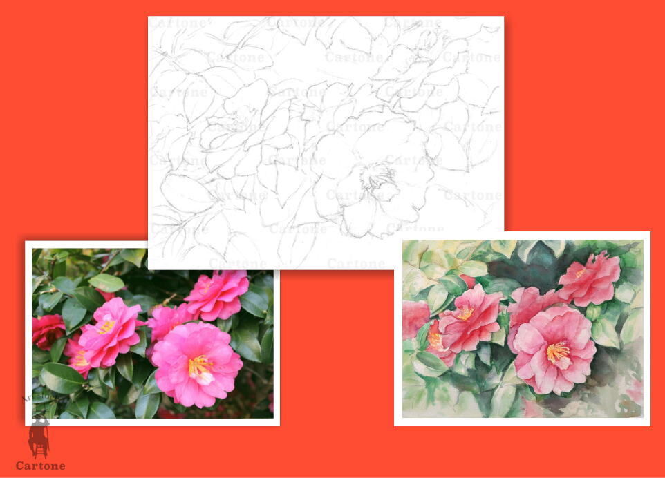 151b 椿の花 （着彩見本付き） | 下絵工房カルトーネ