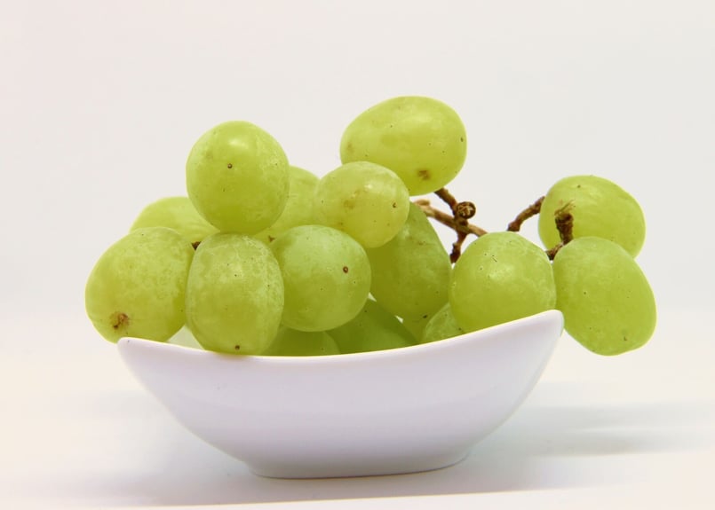 072d マスカット （着彩見本付き） | 下絵工房カルトーネ