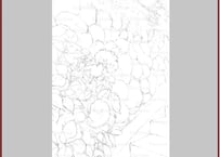 034a  石塀と紫陽花