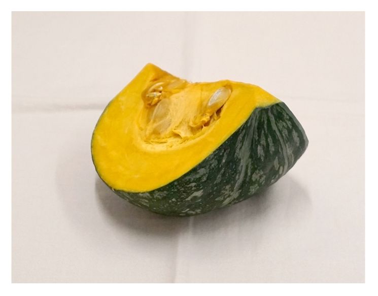 047b かぼちゃ （着彩見本付き） | 下絵工房カルトーネ