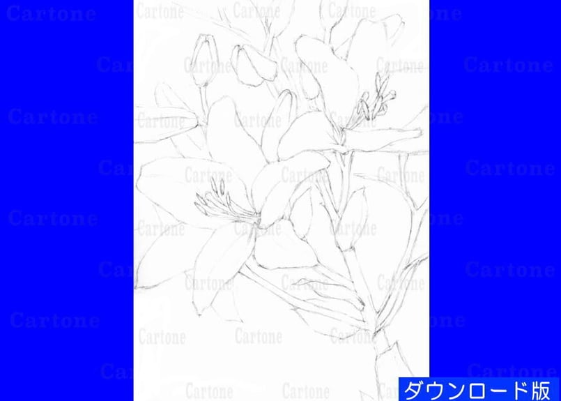 122d 黄色い百合 （着彩見本付き） | 下絵工房カルトーネ
