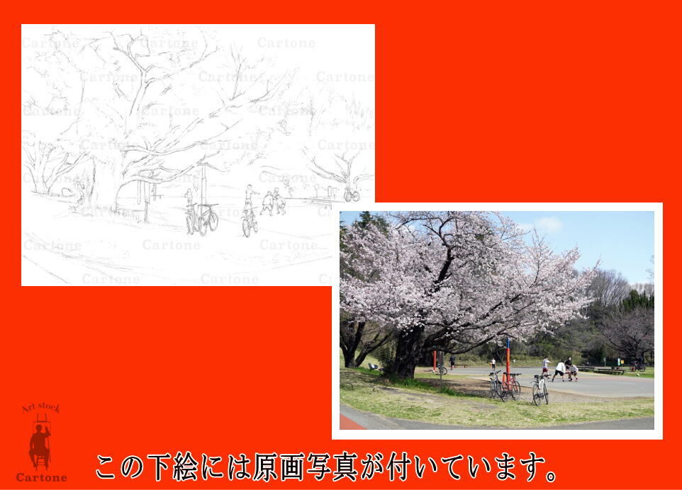 156c 公園の桜 | 下絵工房カルトーネ