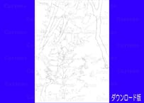 223c 小さな滝