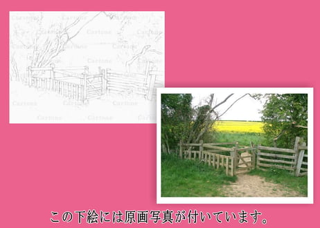 172c 古い木柵と草原