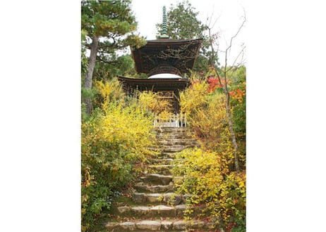 209d 秋の常寂光寺（着彩見本付き）