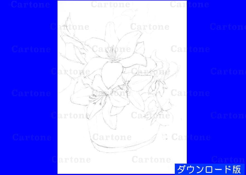 138c ピンクのユリ | 下絵工房カルトーネ