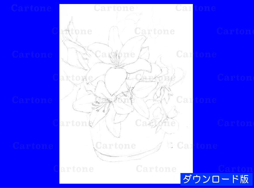 138d ピンクのユリ （着彩見本付き） | 下絵工房カルトーネ