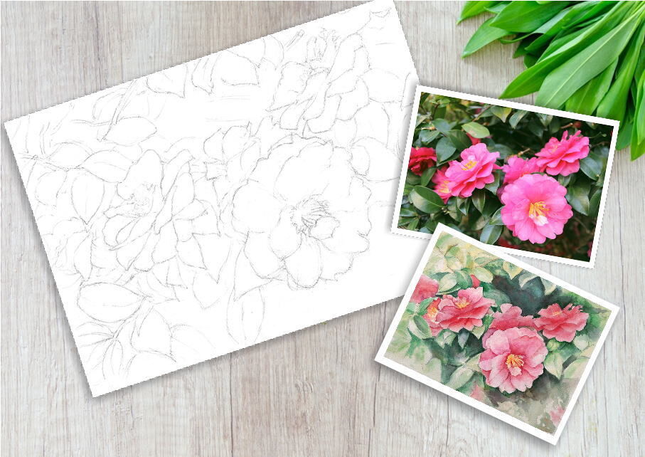 151d 椿の花 （着彩見本付き） | 下絵工房カルトーネ