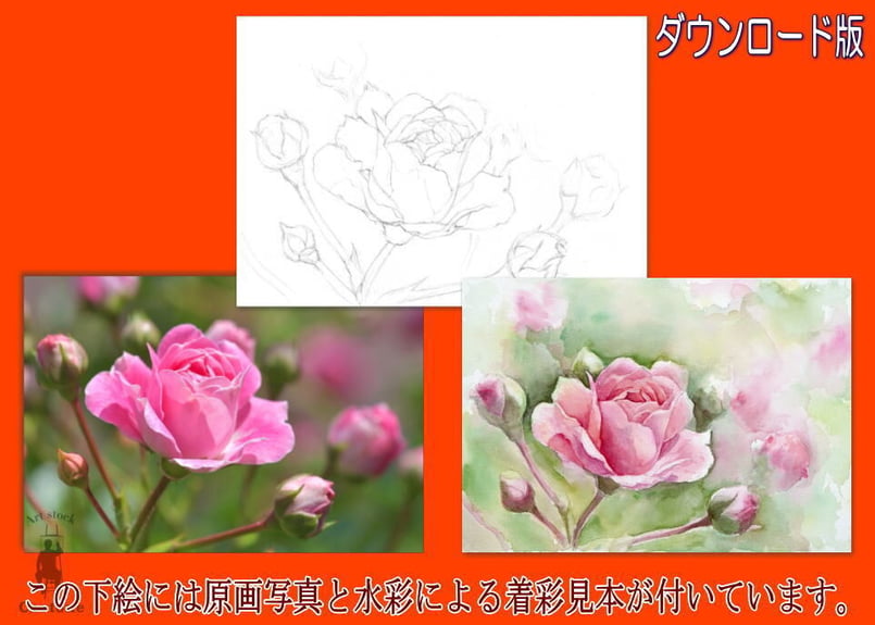 128d ピンクのバラ （着彩見本付き） | 下絵工房カルトーネ
