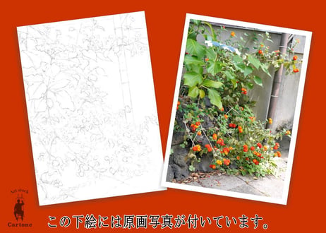 205c 路地に咲く花