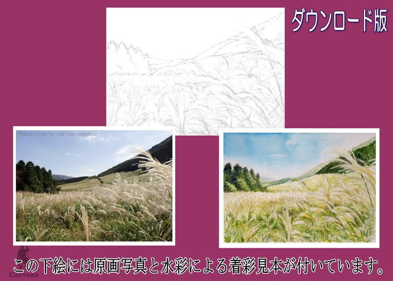 草原の煌めき　風景画　原画 Amazon | AxiangziK クロスステッチキット 大人用 初心者向け 11