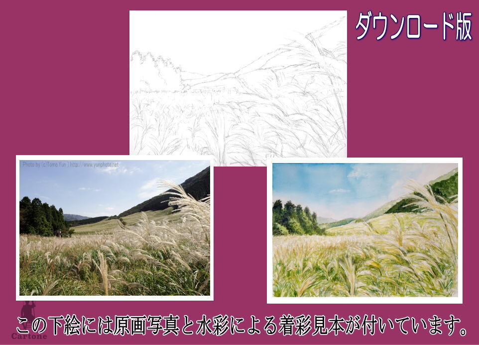 141d 仙石原のススキ草原 （着彩見本付き） | 下絵工房カルトーネ