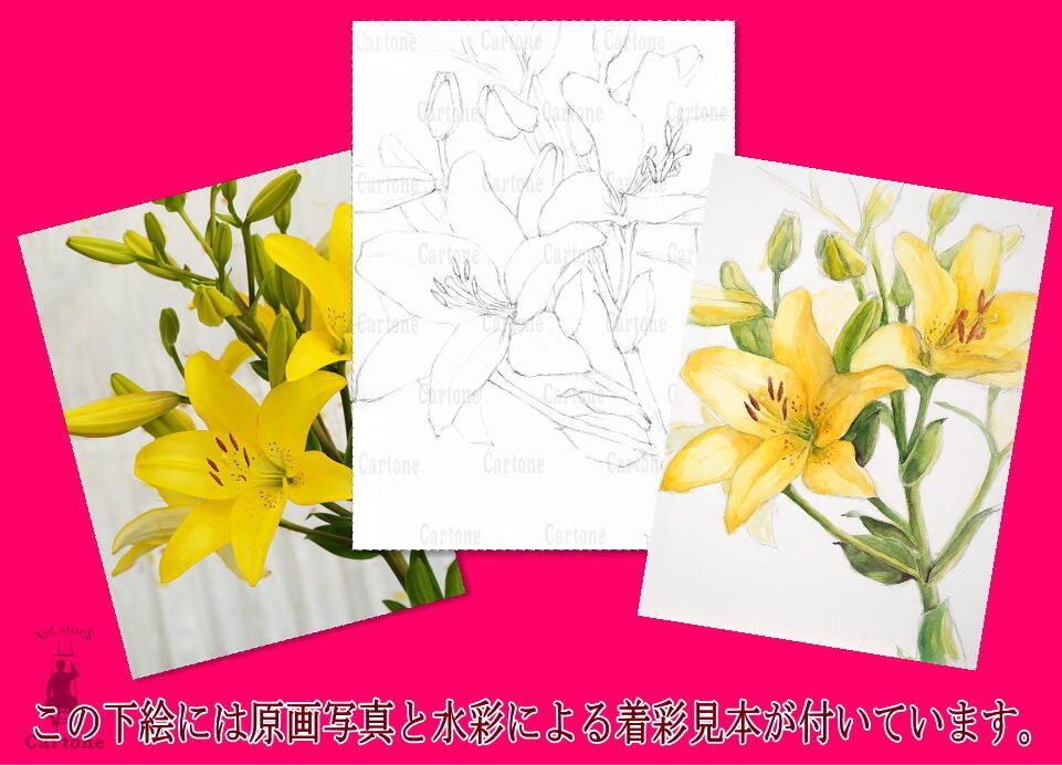 fit=scale-down,w=1200