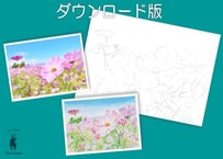 206d コスモス畑（着彩見本付き）