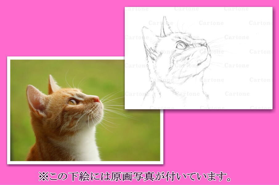 092c 見上げる猫の横顔 | 下絵工房カルトーネ