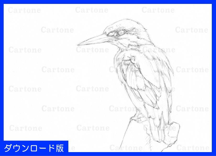 006c ブルーが美しいカワセミ | 下絵工房カルトーネ