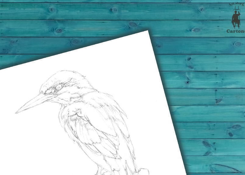 006a ブルーが美しいカワセミ | 下絵工房カルトーネ