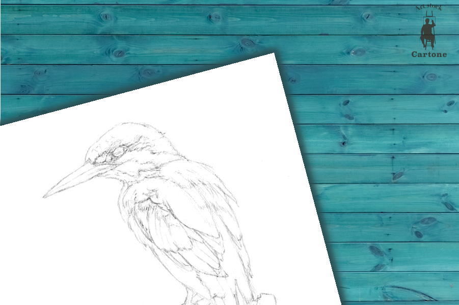 006a ブルーが美しいカワセミ | 下絵工房カルトーネ