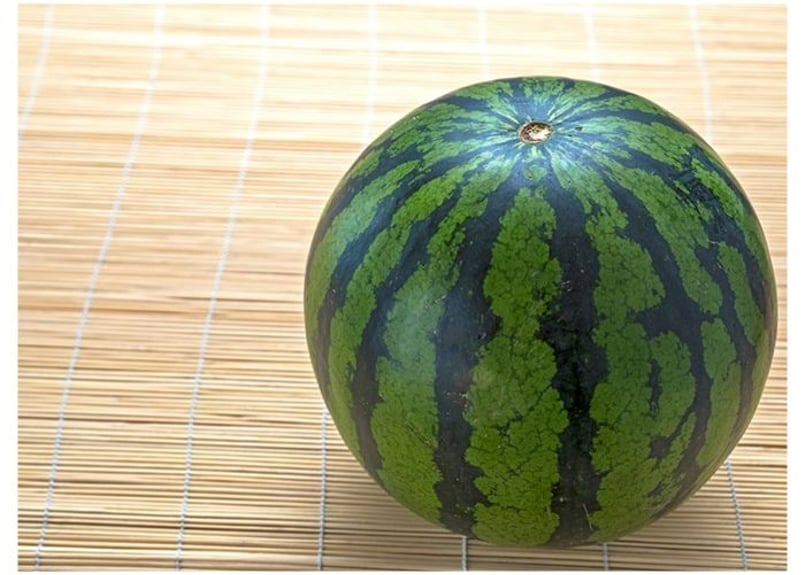 056b スイカ （着彩見本付き） | 下絵工房カルトーネ