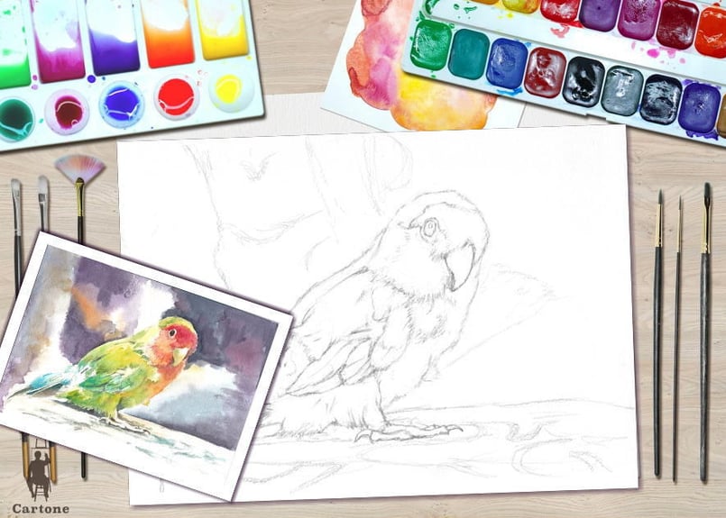 041d カラフルなインコ （着彩見本付き） | 下絵工房カルトーネ