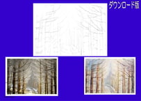 194d 雪の林道 （着彩見本付き）