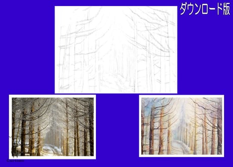194d 雪の林道 （着彩見本付き）