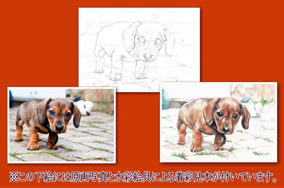 086b ダックスフンドの子犬 （着彩見本付き） | 下絵工房カルトーネ