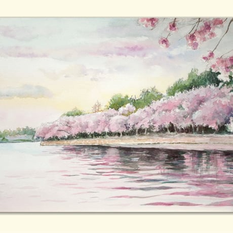 専用朝日の差し込み桜並木風水開運絵画
