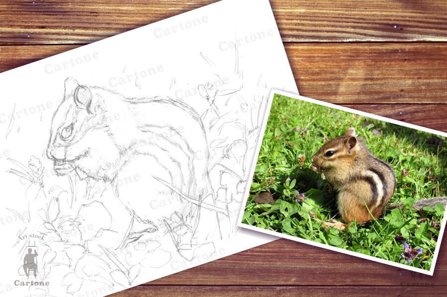 ももここページ】シマリスさん肖像画 シマリスのイラスト肖像画の写真